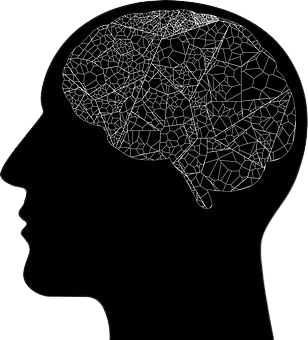 brain